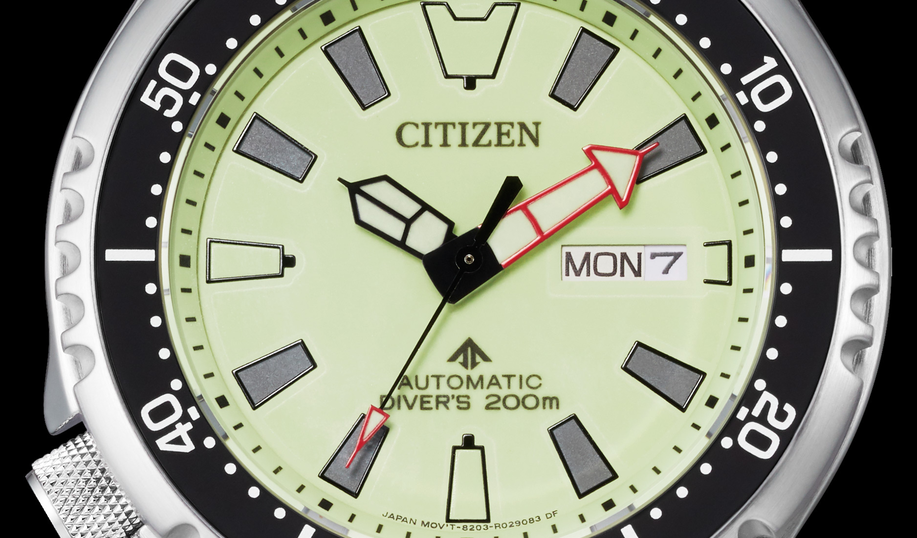 Citizen Asia Limited Promaster NY0119-19X
